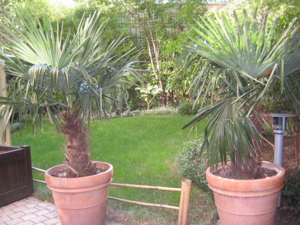 Garten  Hotel Ampère