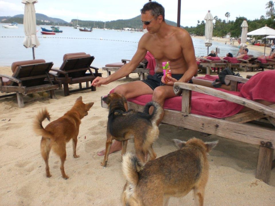 Hungrige Strandbewohner Zazen Boutique Resort & Spa