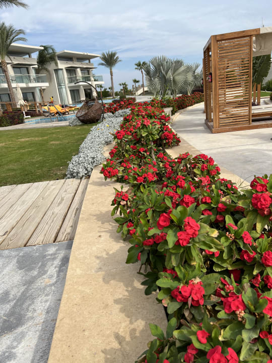 Gartenanlage Rixos Premium Magawish Suites & Villas