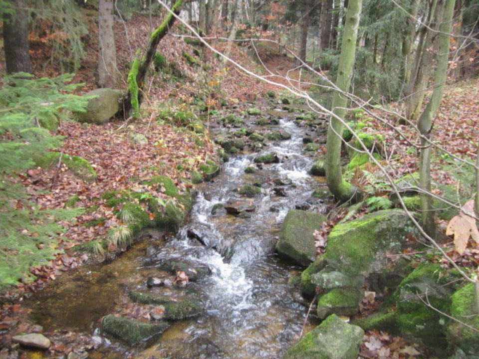 Leśniczówka Willa Anna Willa Anna