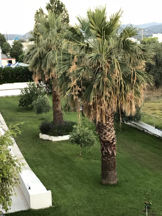 Außenansicht Hotel Memphis Beach