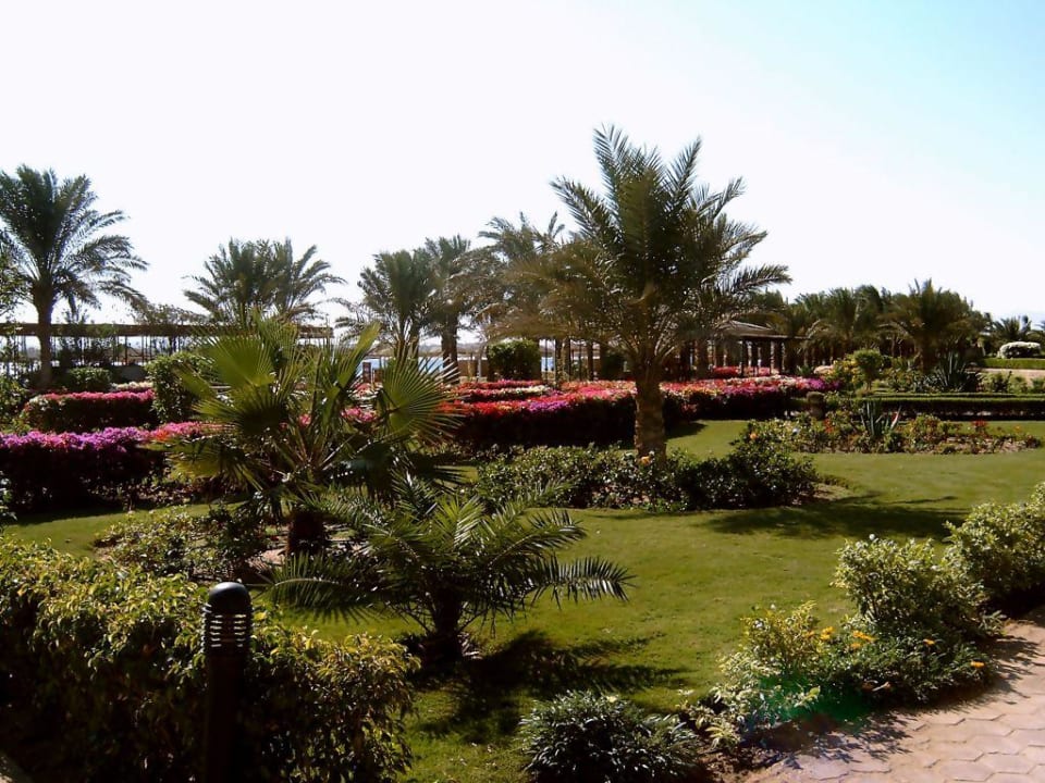 Gartenanlage Fort Arabesque Resort, Spa & Villas