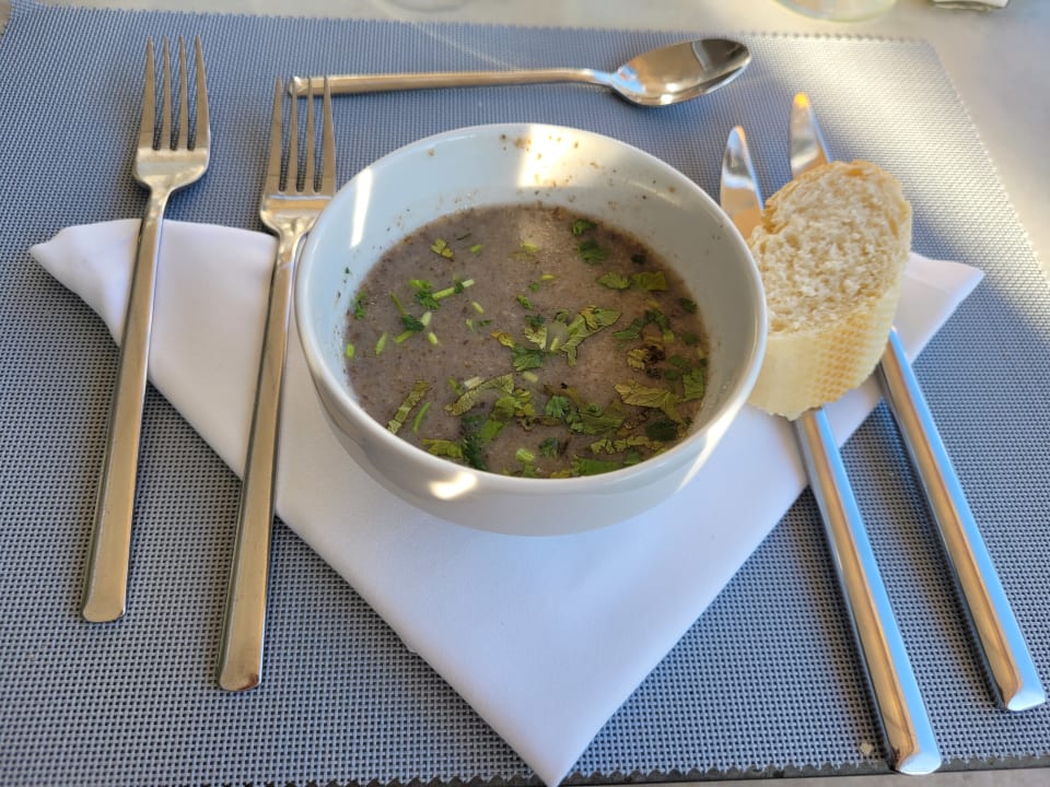 Gastro JS Palma Stay