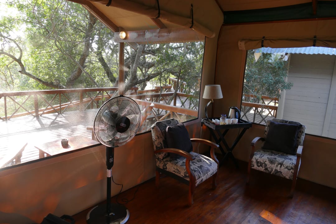 Zimmer Lion Tree Top Lodge