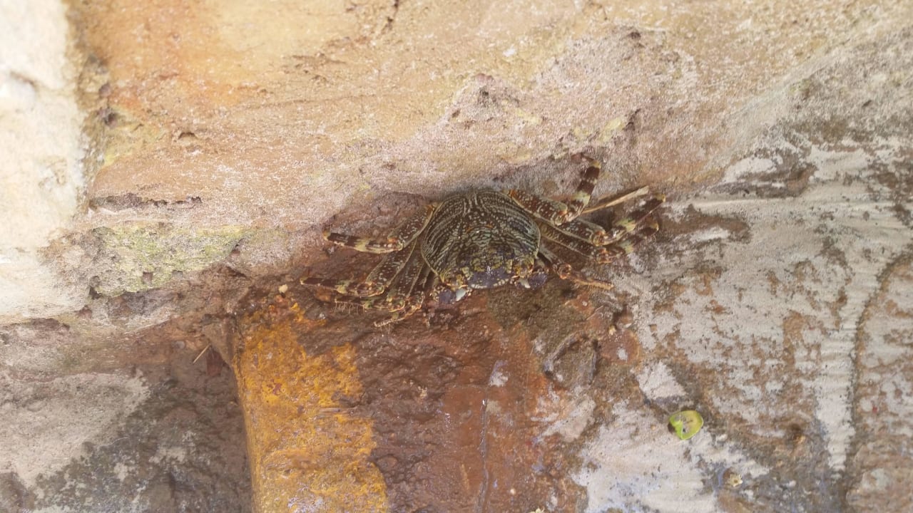 Hotel Baobab Beach Resort Baobab Beach Resort & Spa