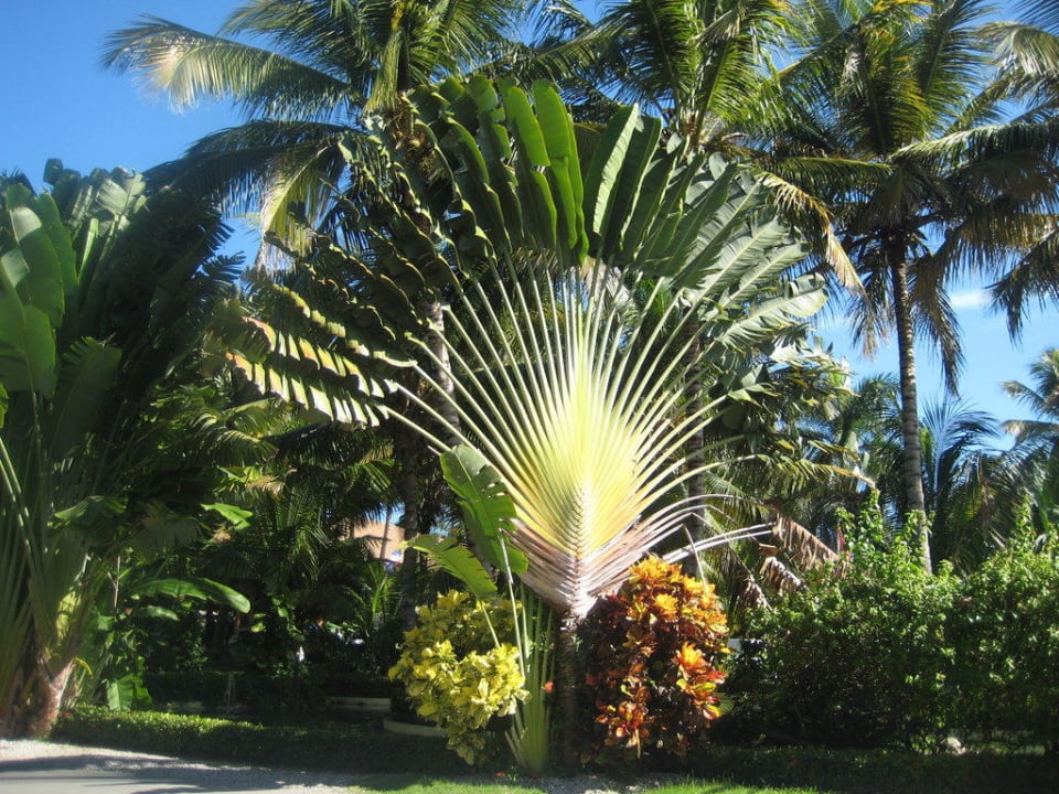 Garten Grand Palladium Select Bávaro Resort & Spa