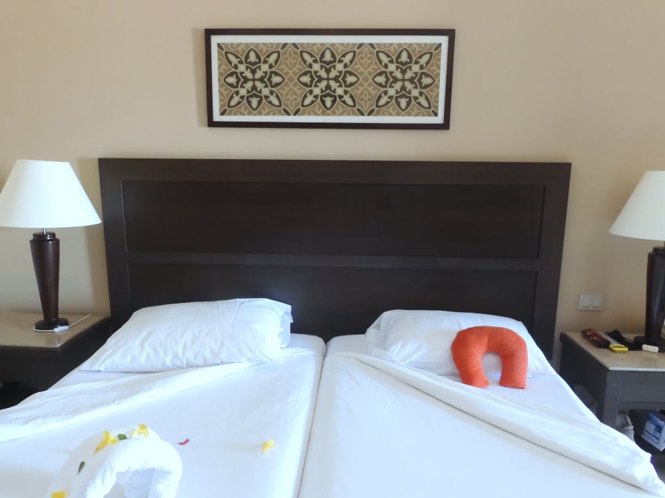 Zimmer Jaz Dar EL Madina