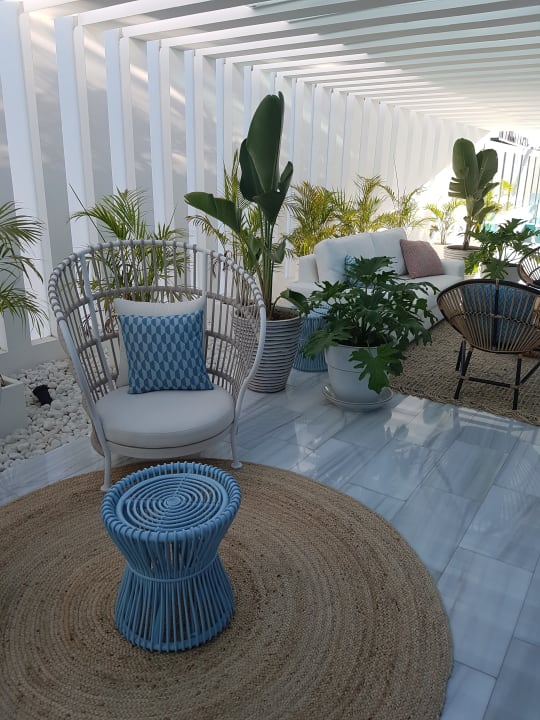 Lobby Canary Garden Club