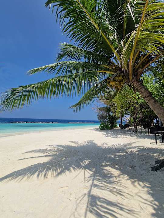 Strand NH Maldives Kuda Rah Resort