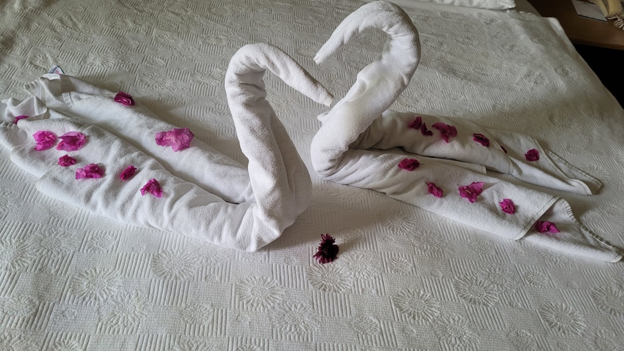 Zimmer Papillon Ayscha