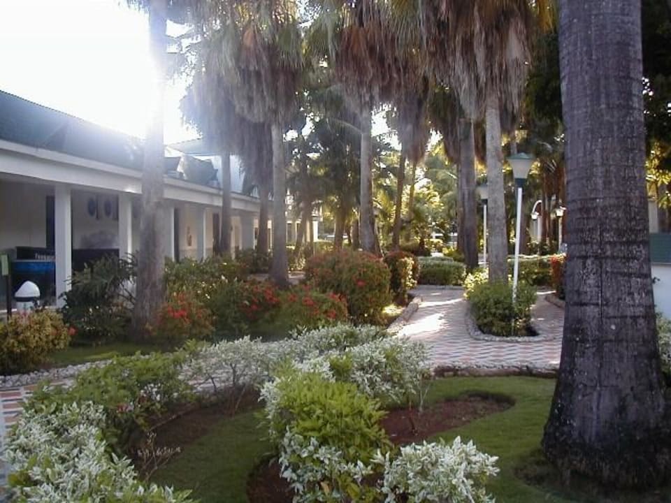 Garten Decameron Marazul