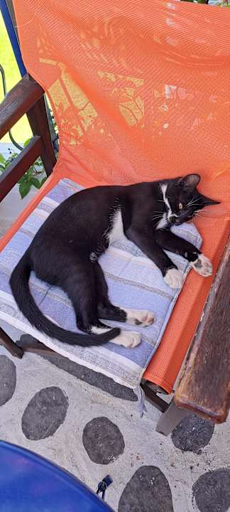 Außenansicht Ekaterini Hotel