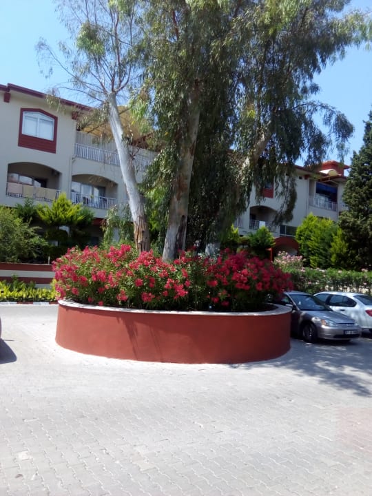 Außenansicht FUN&SUN Smart Hane Sun Hotel