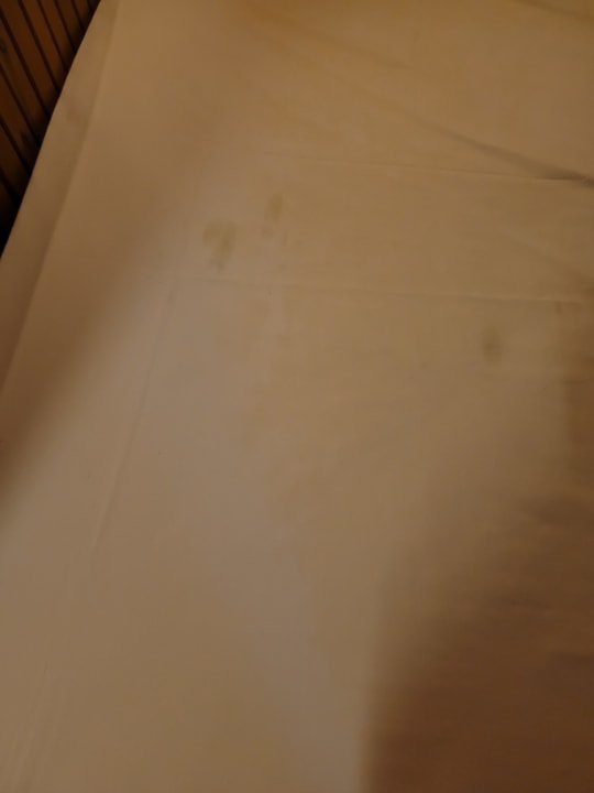 Zimmer Clover Magic Nova Beach