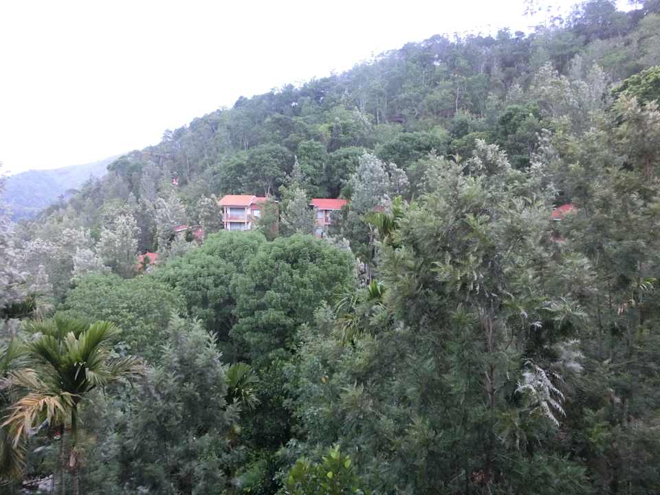 Gartenanlage Hotel Thekkady Wild Corridor