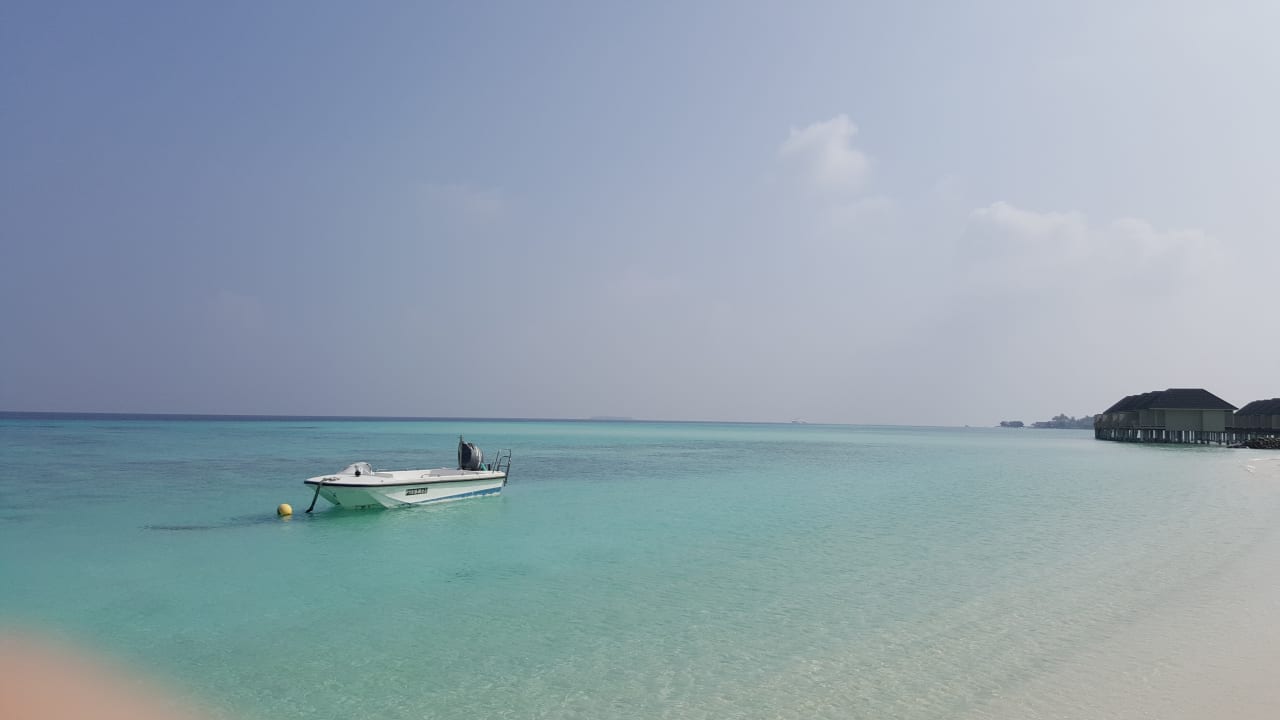 Strand Summer Island Maldives
