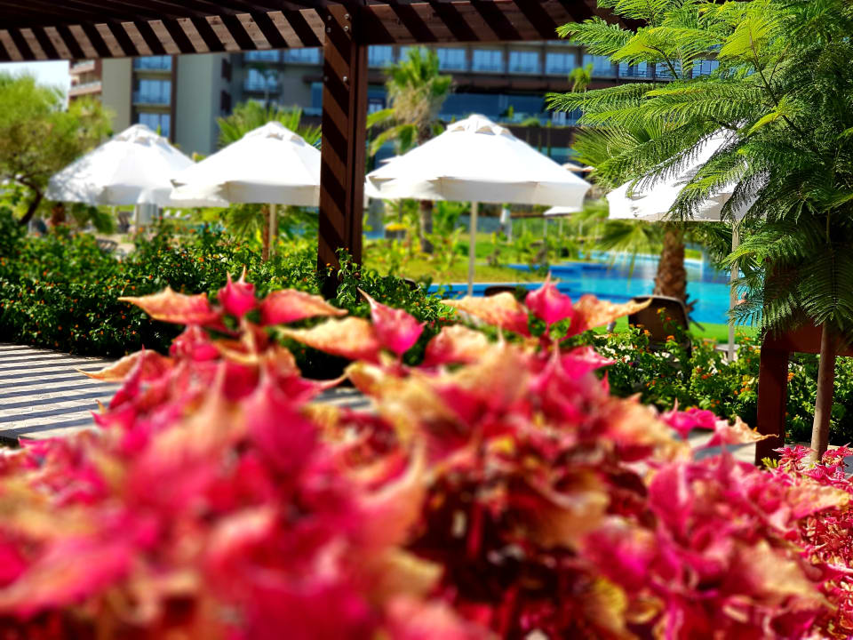 Ausblick Concorde Luxury Resort