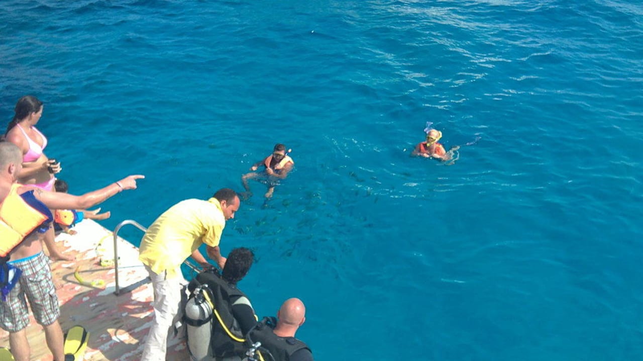 Schorchel ausflug Beach Albatros Resort