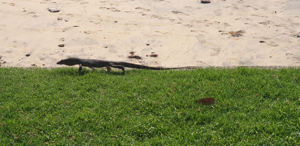 Gartenanlage The Sands Khao Lak by Katathani