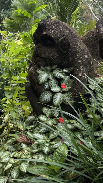 Sonstiges Hotel Tjampuhan