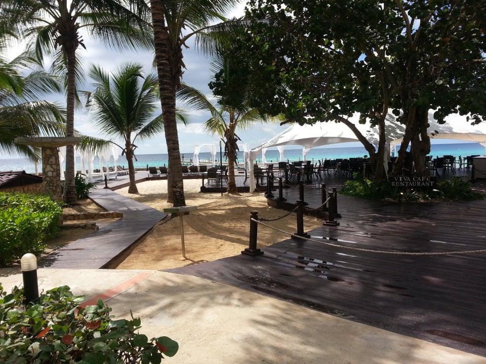 Restaurant Viva Cafe Hotel Viva Dominicus Palace by Wyndham-All Inclusive Resort