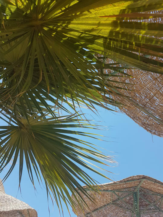 Ausblick Bella Vista Resort Hurghada