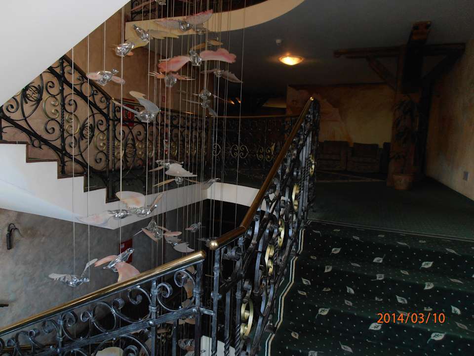 Hotel wewnątrz Hotel Żubrówka Białowieża