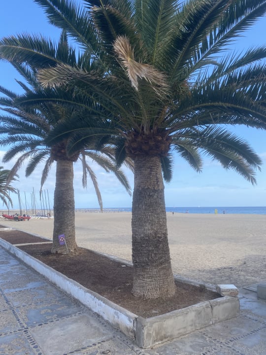 Strand Sol Fuerteventura Jandia - All Suites