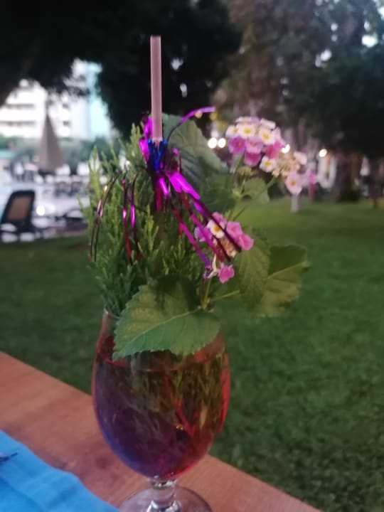 Gastro Hotel Gardenia Beach