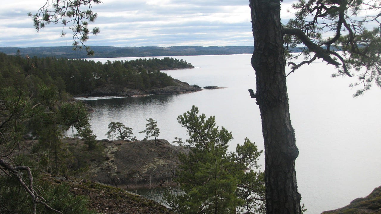 Ausblick Hotel Bastedalens Herrgård