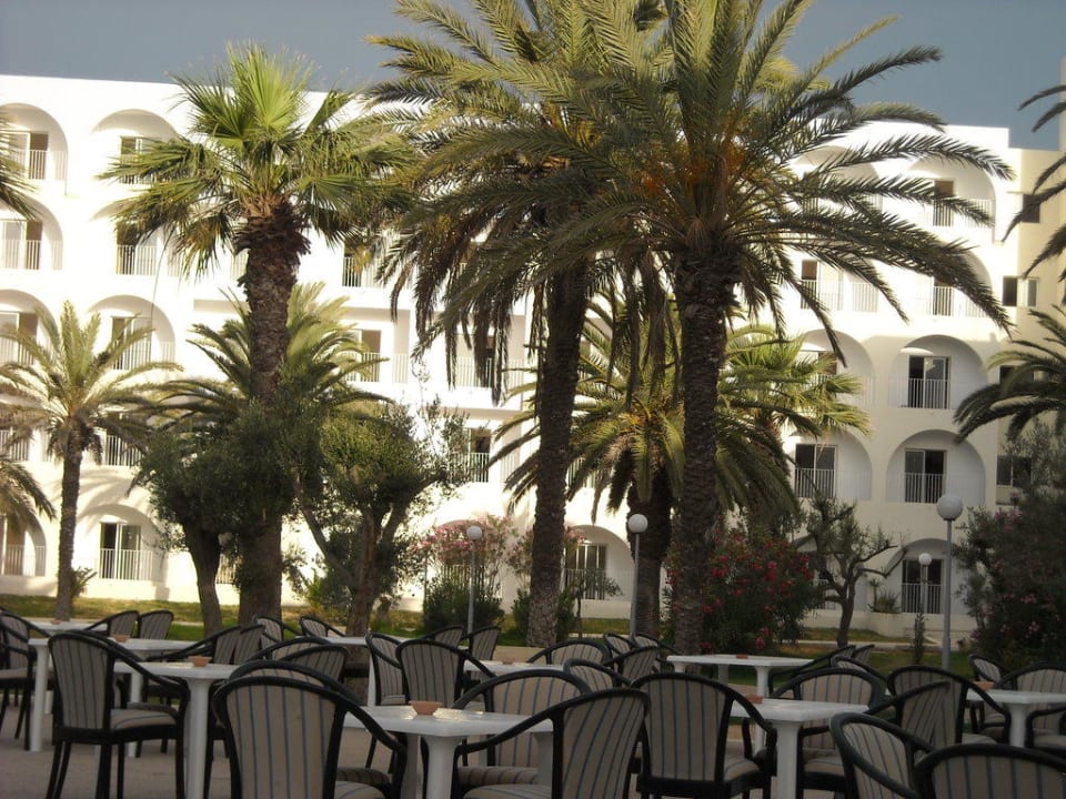 Kaffeetreffpunkt - oder sonstiges El Mehdi Beach Resort