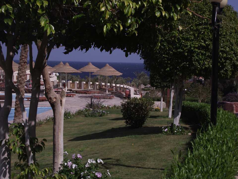 Вид на бассейн Serenity Alpha Beach