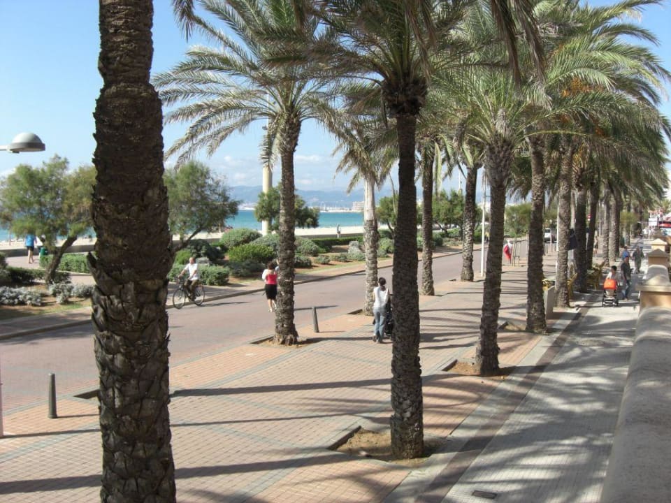 Promenade am Hotel, Blickrichtung Palma allsun Hotel Pil-lari Playa