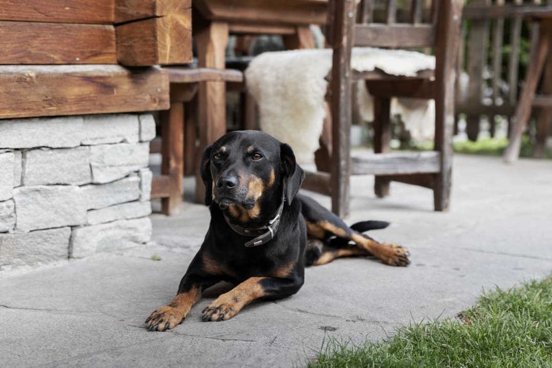 Sonstiges Feriendorf Holzleb'n