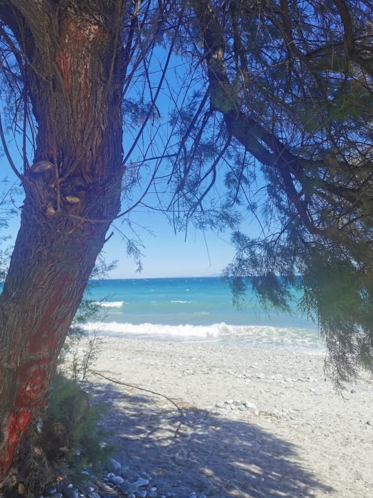 Strand alltoura Club Hotel Poseidon Palace