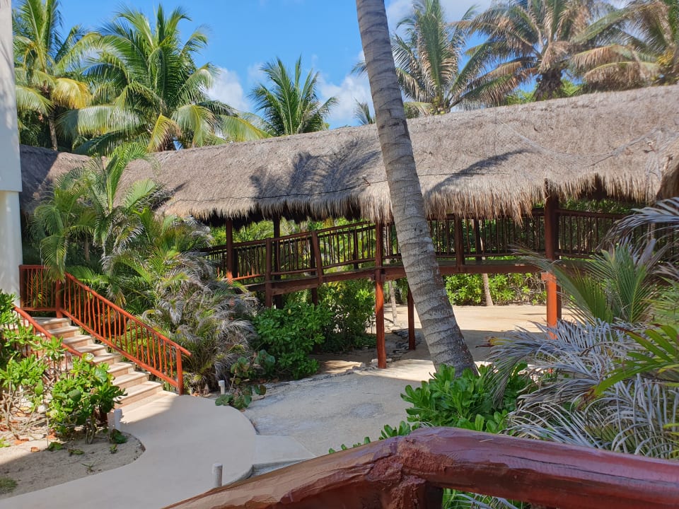 Gartenanlage Akumal Bay Beach & Wellness Resort
