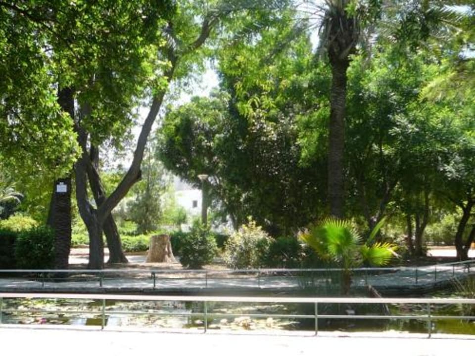 Stadtgarten von Nicosia Atlantica Sea Breeze
