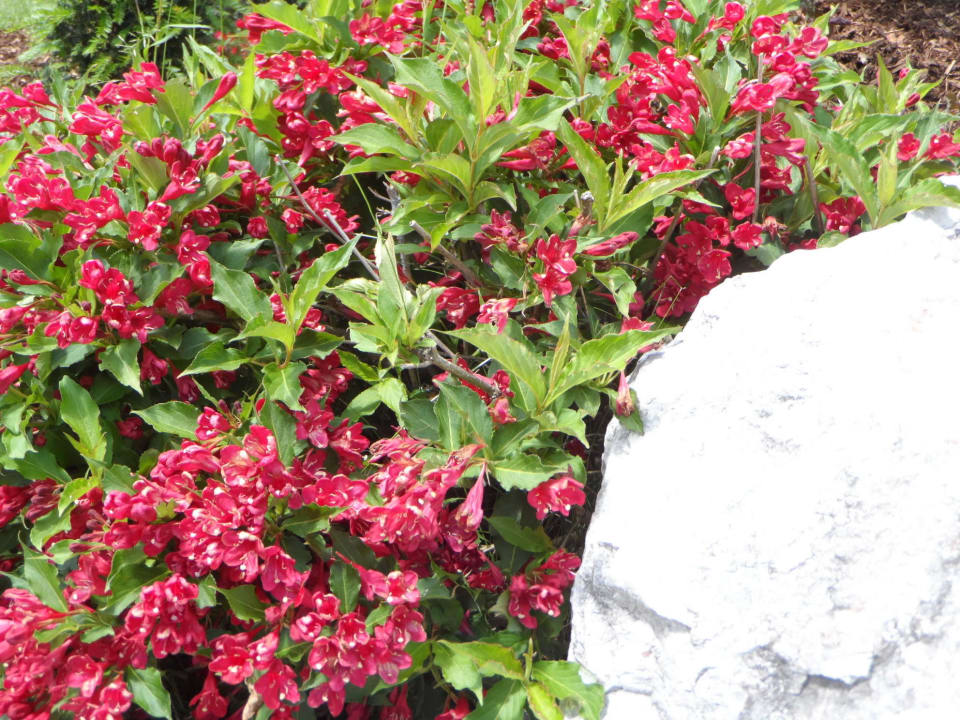 Sommer im "CASAMARAI" Appartementhaus CASAMARAI