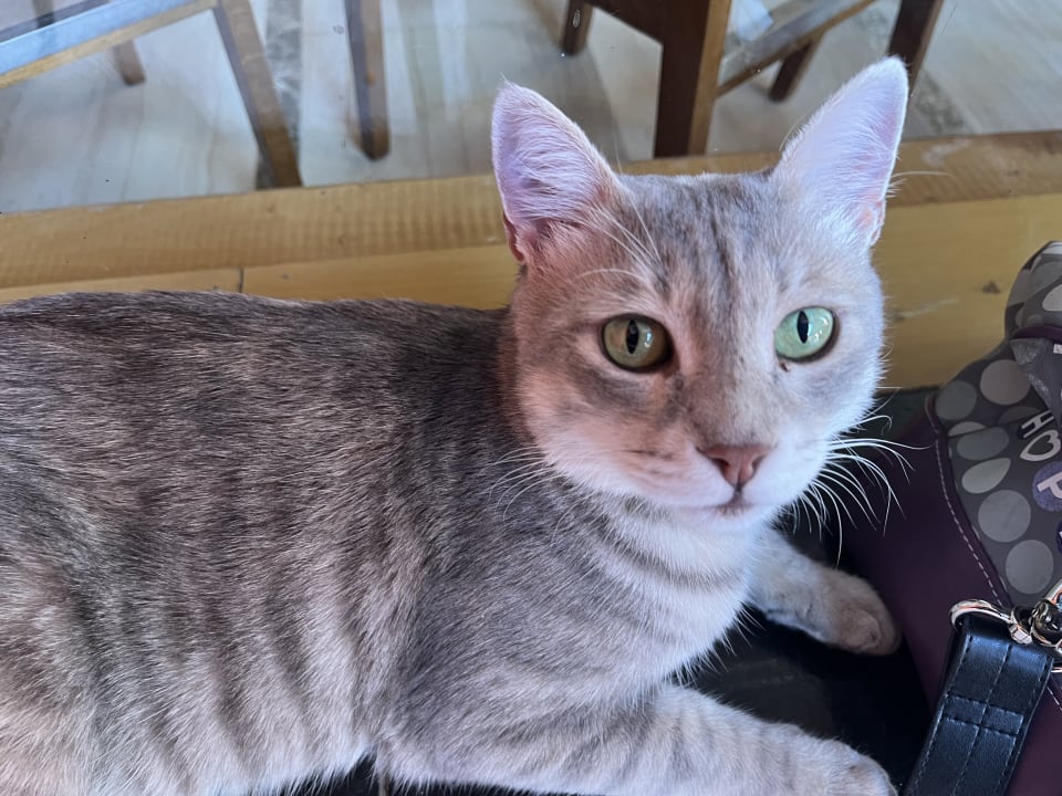 Sonstiges Pickalbatros Alf Leila Wa Leila Resort - Neverland Hurghada