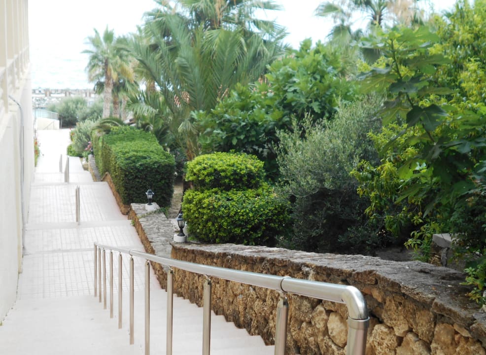 Gartenanlage Oscar Resort Hotel