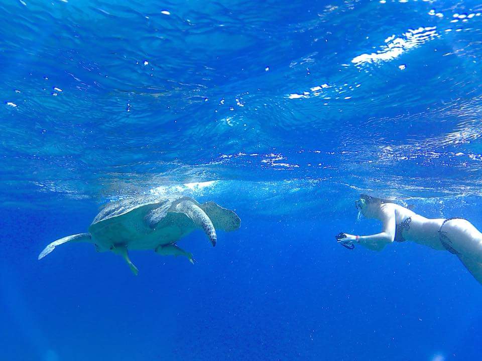 Strand Pickalbatros Citadel Resort