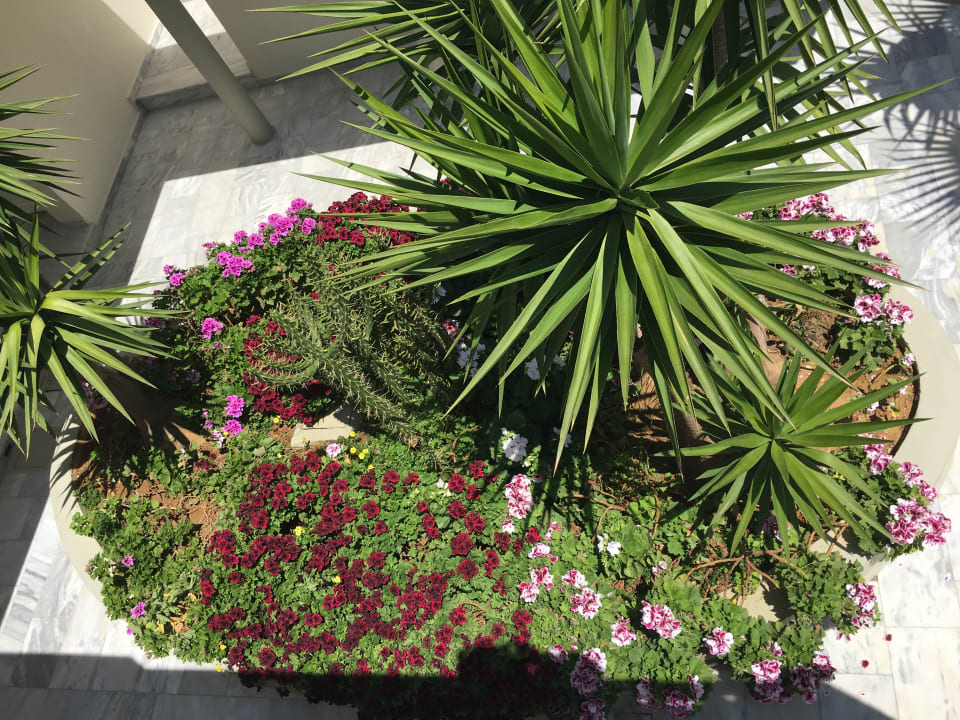 Gartenanlage HARPIN Georgioupolis Resort Aquapark & SPA