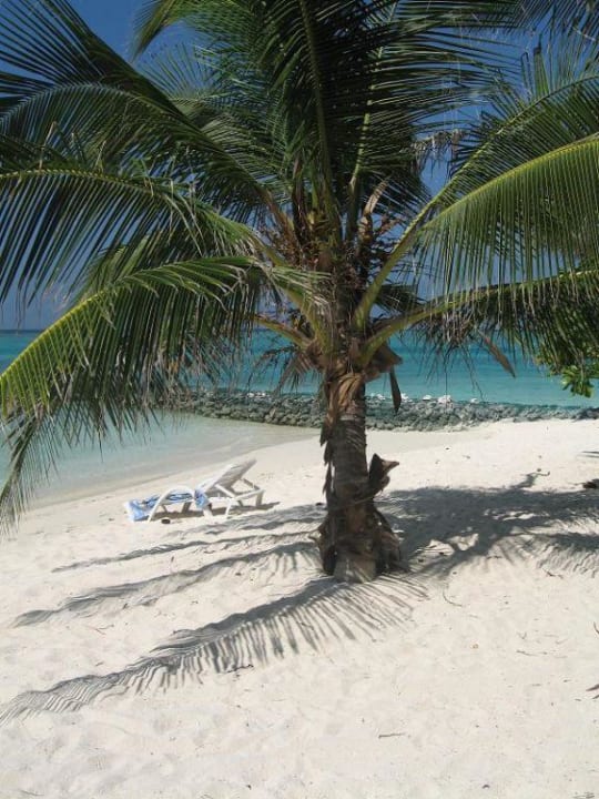 Typische Urlaubsbilder Summer Island Maldives