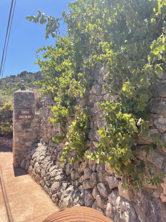 Gartenanlage New Can Furios Hotel by Can Calco Hotels