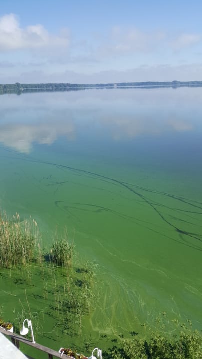 Ausblick Seehotel Fährhaus