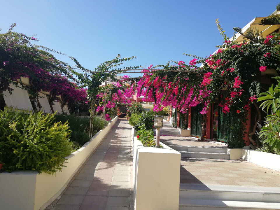 Gartenanlage Hydramis Palace Beach Resort