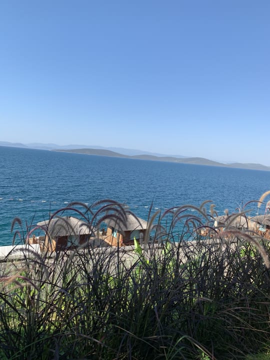 Außenansicht The Plaza Bodrum