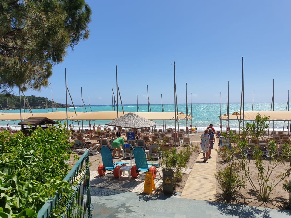 Strand Arycanda Kirman Premium