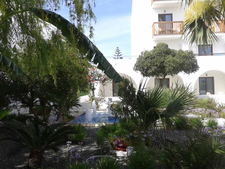 Ogród TUI BLUE Oceanis Beach and Spa Resort