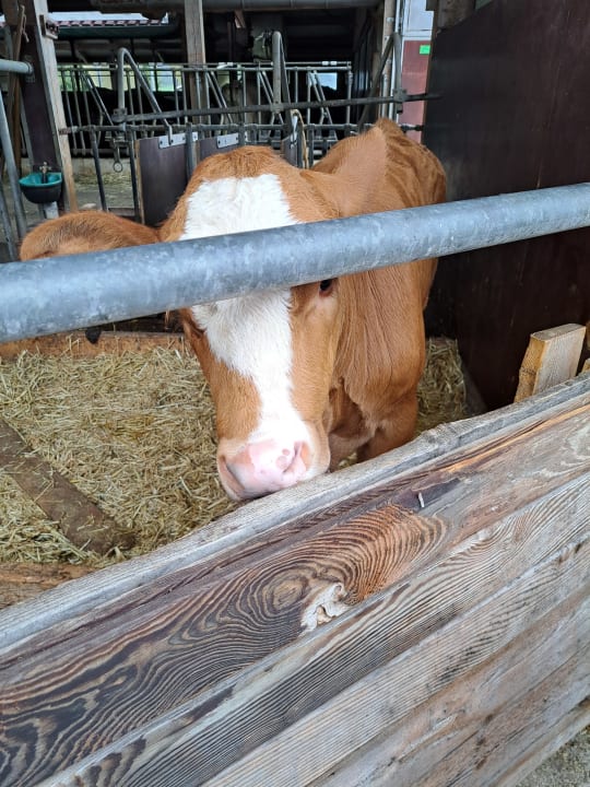 Sport & Freizeit Ferienwohnungen Berghof Kinker